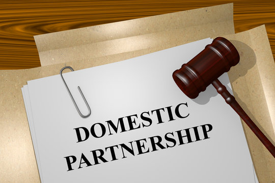 Domestic Partnership Concept