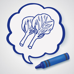Cabbage doodle