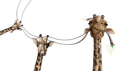 Naklejka premium drawing of a giraffe