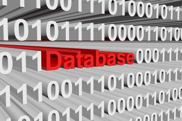 database is represented as a binary code