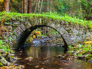 Small old stone bridge in a forest