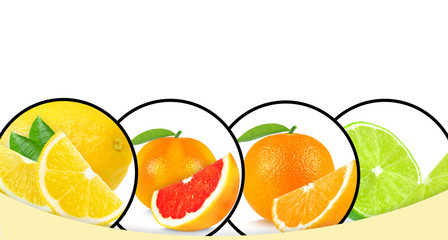 citrus fruits collage isolated on white background