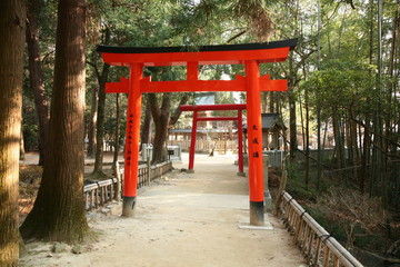 Fototapeta na wymiar Japanese shrine gate 