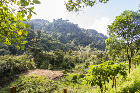 Panama Boquete Landscape, Quetzal Trail