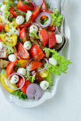 italian  tomatoes salad with cheese