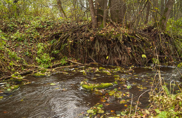 Autumn landscape with yellow trees and red foliage