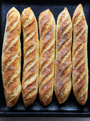 fresh baquettes on dark background
