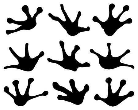 Black footprints of frogs, vector