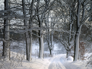 Winter scene full of snow