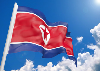 3D realistic waving flag of North Korea