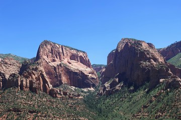 Pioneer Kitchen Still Life