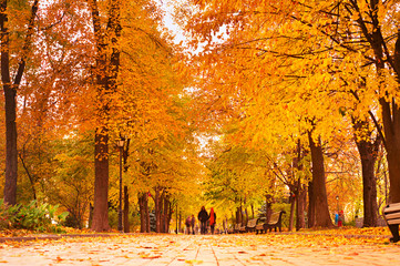Romantic Autumnal park walking