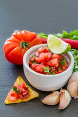 Salsa sauce and ingredients