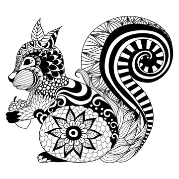 Hand drawn squirrel zentangle style for coloring book,tattoo,t shirt design,logo