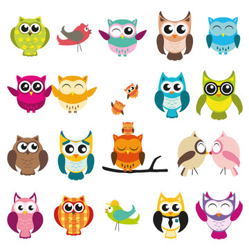 owl illustration set