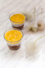 Chocolate chia seeds pudding