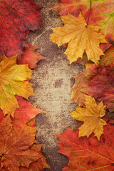 Naklejka na ściany i meble Bright autumn leaves arranged in a frame on a shobby chic backgr