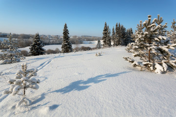 Fototapeta na wymiar Fir trees on a ski slope with ski and country
