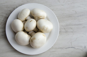 Сhampignon