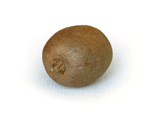kiwi isolated