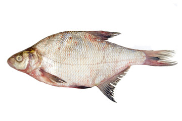 The raw fish bream