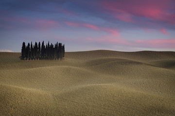 Obraz premium Tuscany landscape with cypress