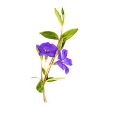 vinca spring bouquet