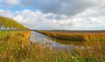 Canal through a rural landscape in autumn