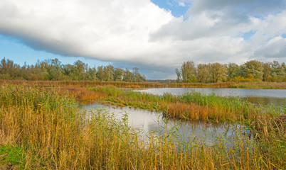Fototapeta na wymiar Shore of a lake below a cloudy sky in autumn