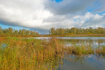 Shore of a lake below a cloudy sky in autumn