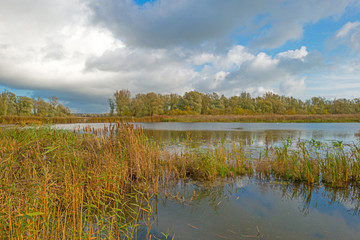 Shore of a lake below a cloudy sky in autumn