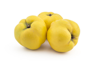 Three fresh ripe yellow quinces isolated on white background