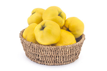 Fresh ripe yellow quinces in woven basket isolated on white background