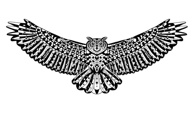 Eagle owl bird. Animals. Hand drawn doodle. Ethnic patterned vector illustration