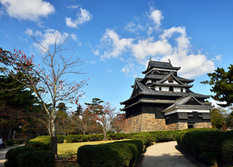 秋の松江城と青空