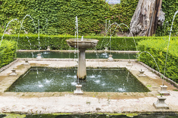 Generalife gardens at the Alhambra in Granada, Spain