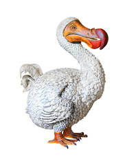 The Dodo (Raphus cucullatus) is an extinct flightless bird that was endemic to the island of...