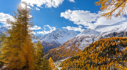 Valmalenco (IT) - Chiareggio - Alpe dell'Oro - Vista della Val Ventina