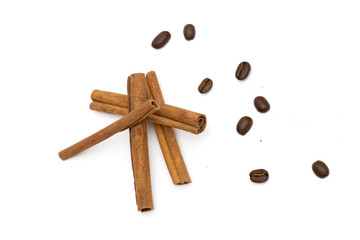 chocolate on the white background