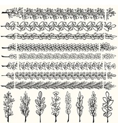 Hand drawn floral pattern borders and floral design elements set. Pattern and art brush templates. Vector illustration.