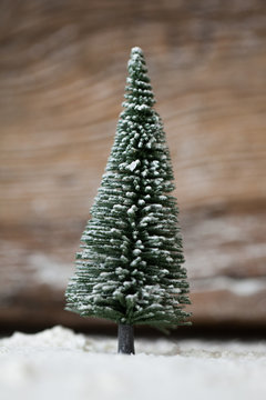 Christmas card - a miniature Christmas tree in the snow - winter