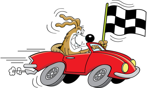 Cartoon illustration of a dog in a sports car waving a checkered flag.