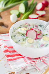Okroshka - traditional summer cold soup