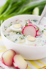 Okroshka - traditional summer cold soup