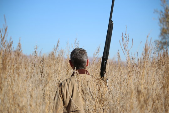 Man with Shotgun in a Field