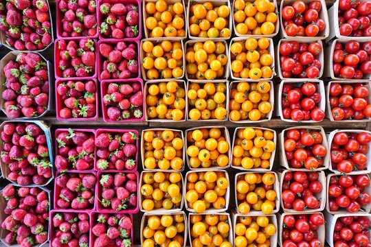 Square containers of colorful tomatoes and strawberries at the farmers market in summer