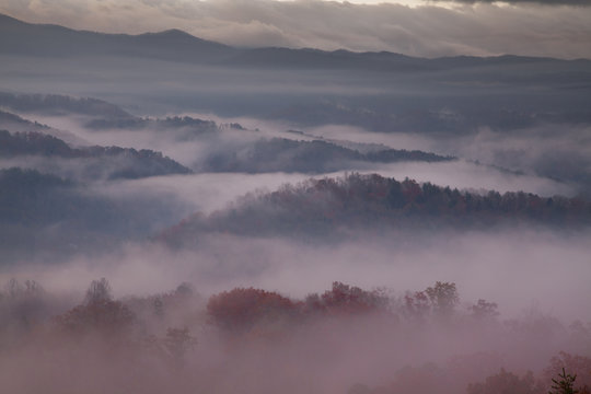 Fototapeta red-hued morning fog over smoky mountains