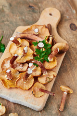 Mushrooms honey agarics (Armillaria mellea)
