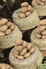 Potatoes in baskets on a vegetables market