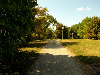 Sunny park afternoon